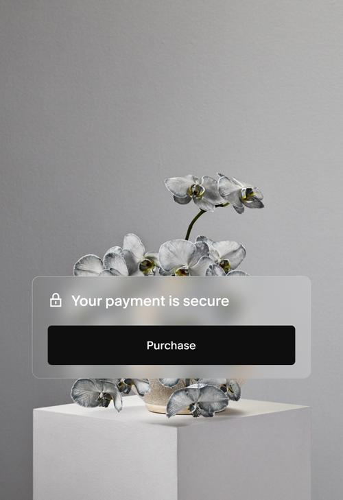 Checkout button with message, "Your payment is secure"
